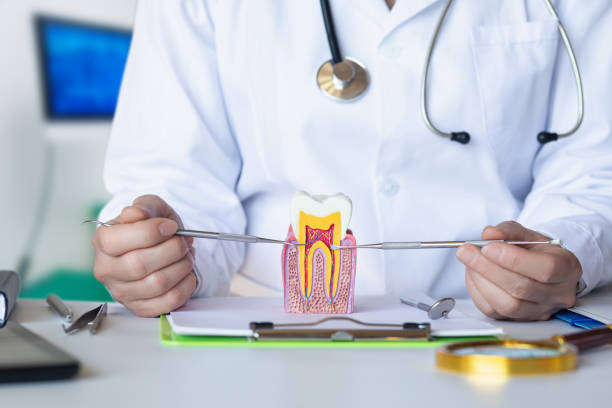 Best Broken or Cracked Tooth Emergency Dentist in Apollo, PA